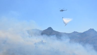 Bodrum’da makilik yangını