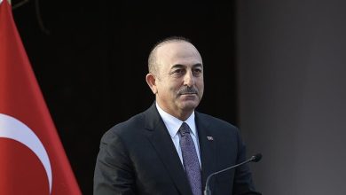 Çavuşoğlu, AP Başkanı Sassoli ile görüştü