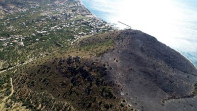 Muğla’daki yangında 5 hektar alan zarar gördü