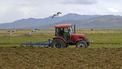 Üniversite mezunu genç çiftçiye 100 bin lira hibe