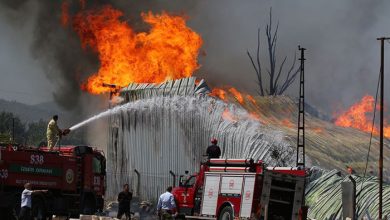 İzmir’de ahşap palet fabrikasında yangın