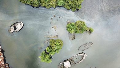 Terk edilen gemi Sao Luiz, çevreyi tehdit ediyor